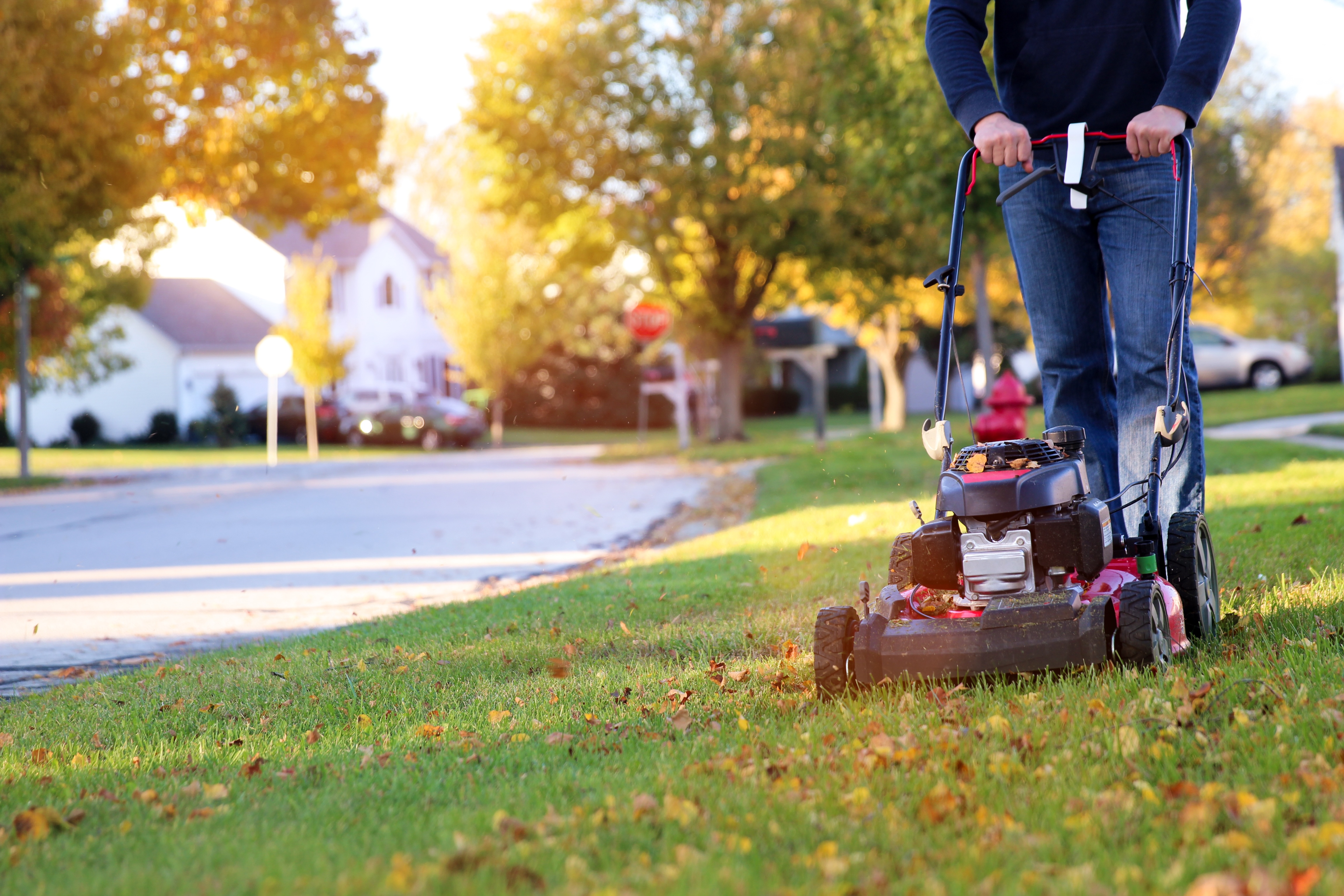 Person pushing a lawn mower to cut the grass on a fall evening