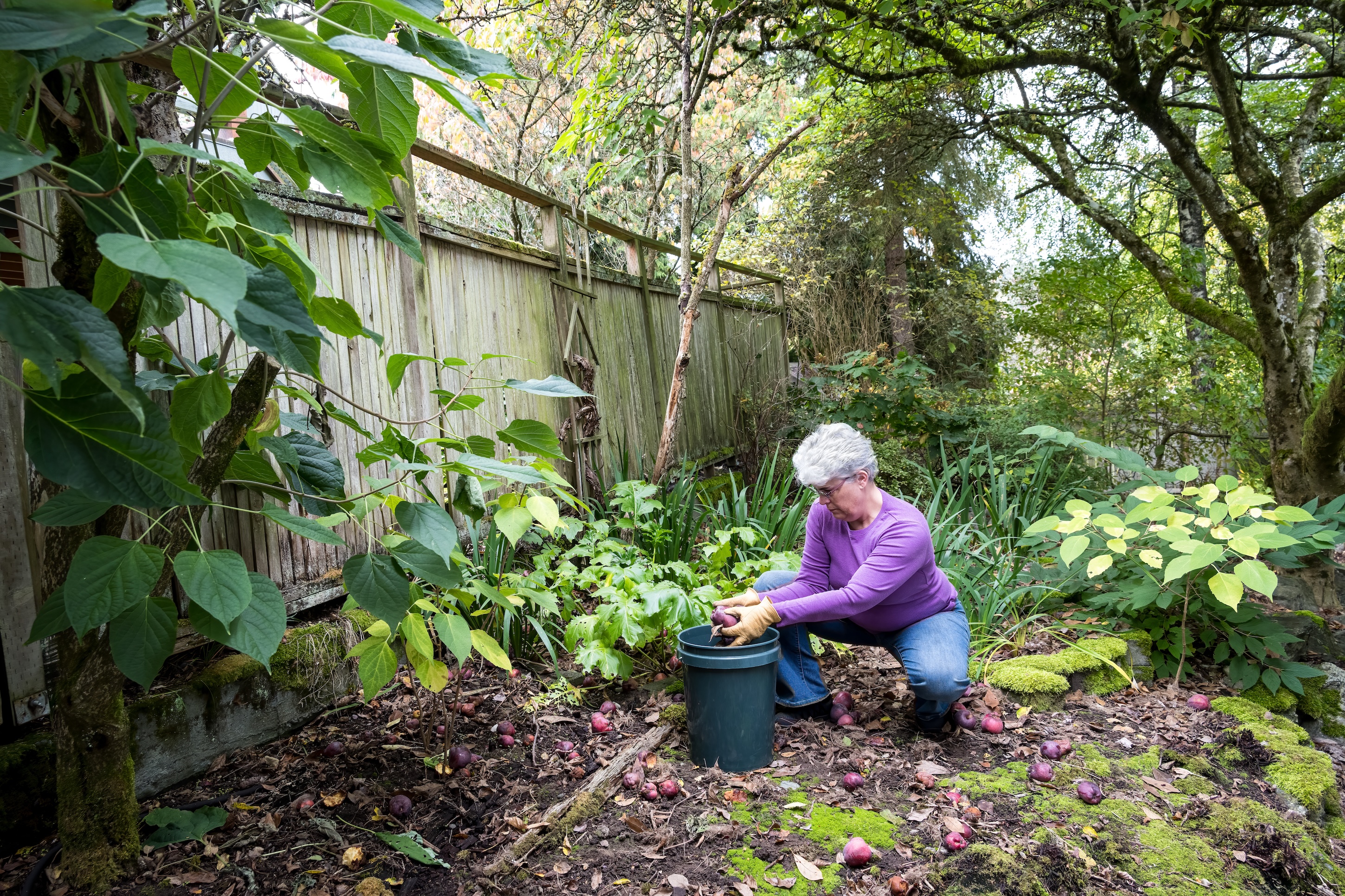 Woman working in her garden on a crisp fall day