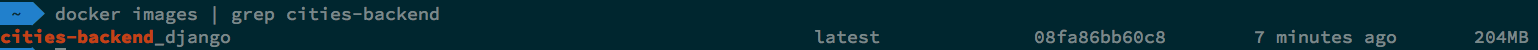 A result of executing Docker images | grep cities-backend