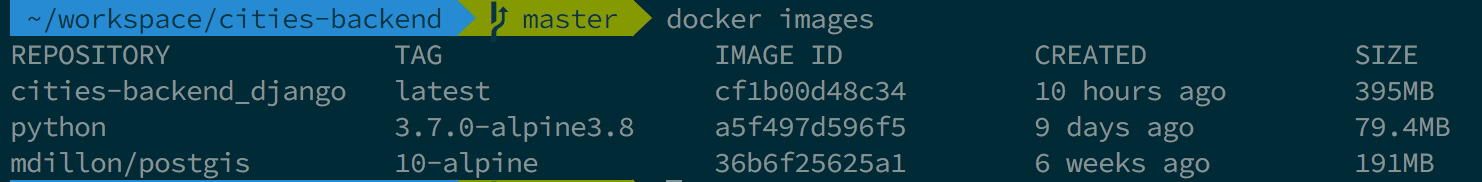 A result of executing Docker images