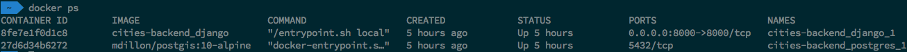 A result of executing docker ps