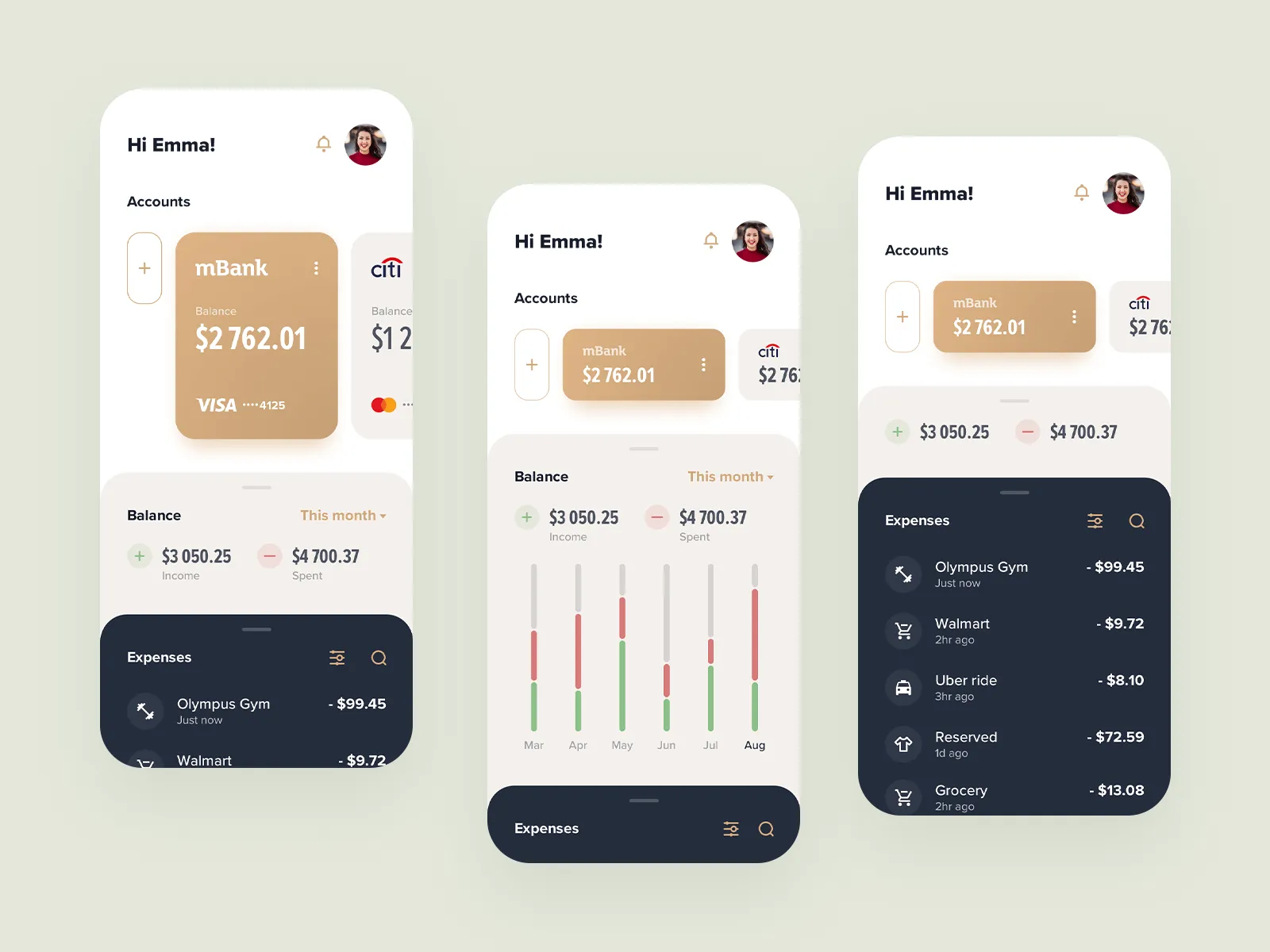 Home Budget fintech app concept design