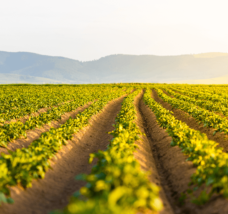 Farmdroid case study
