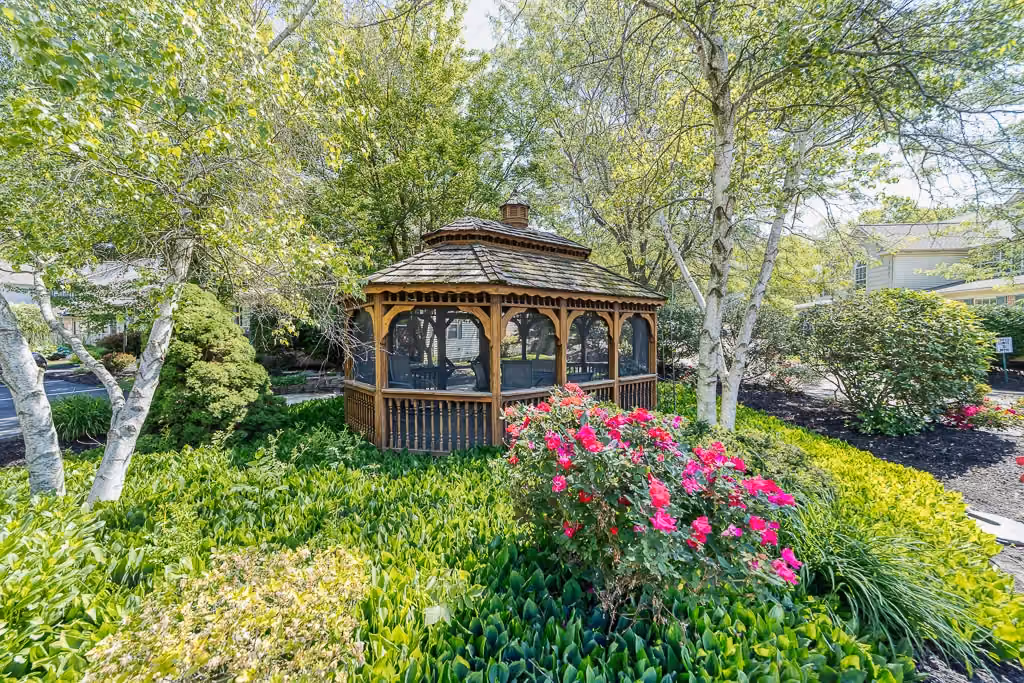 Senior Assisted Living