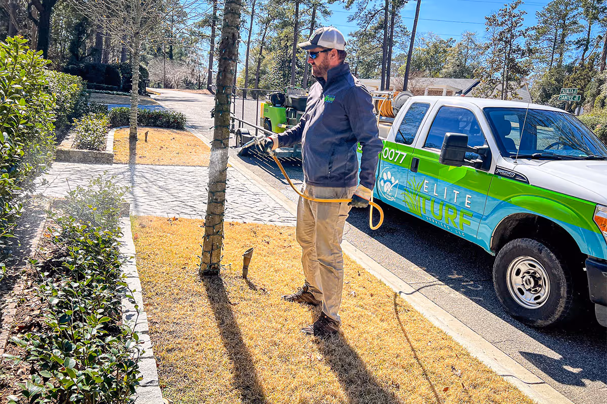 Elite Turf professional is watering shrubs as part of the Tree & Shrub program.