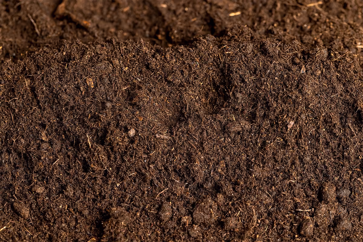 Compost.