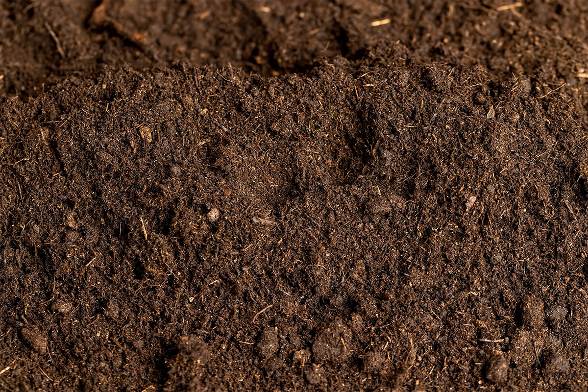 Compost.