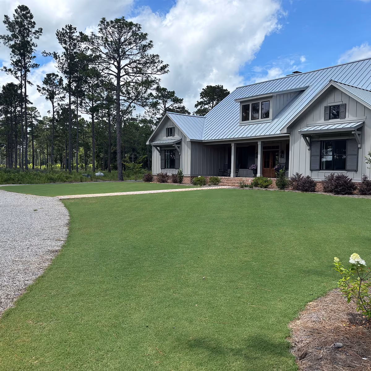 South Carolina yard after compost topdressing.