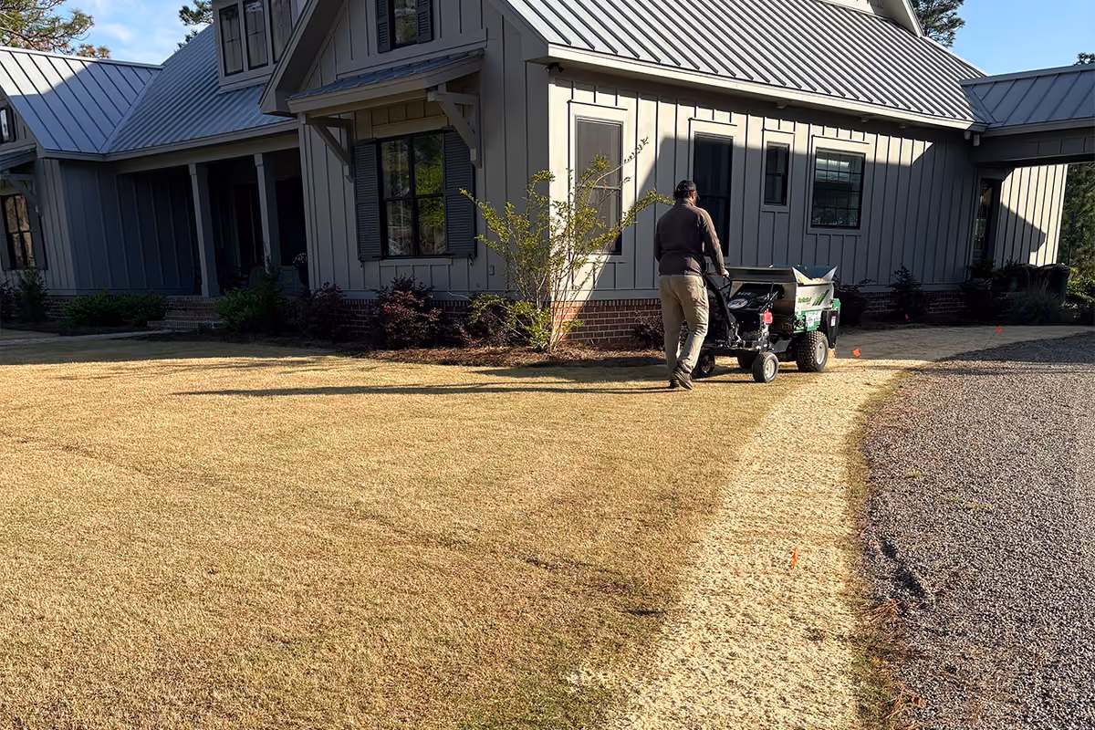 Compost topdressing in progress for a South Carolina yard.
