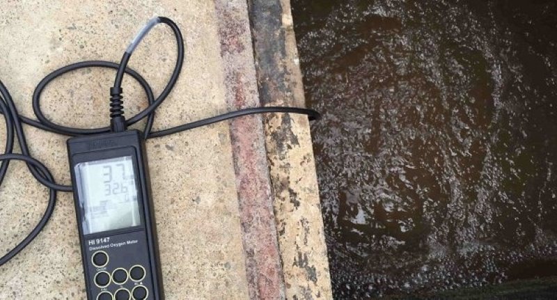 Máy đo Oxy hòa tan trong nước