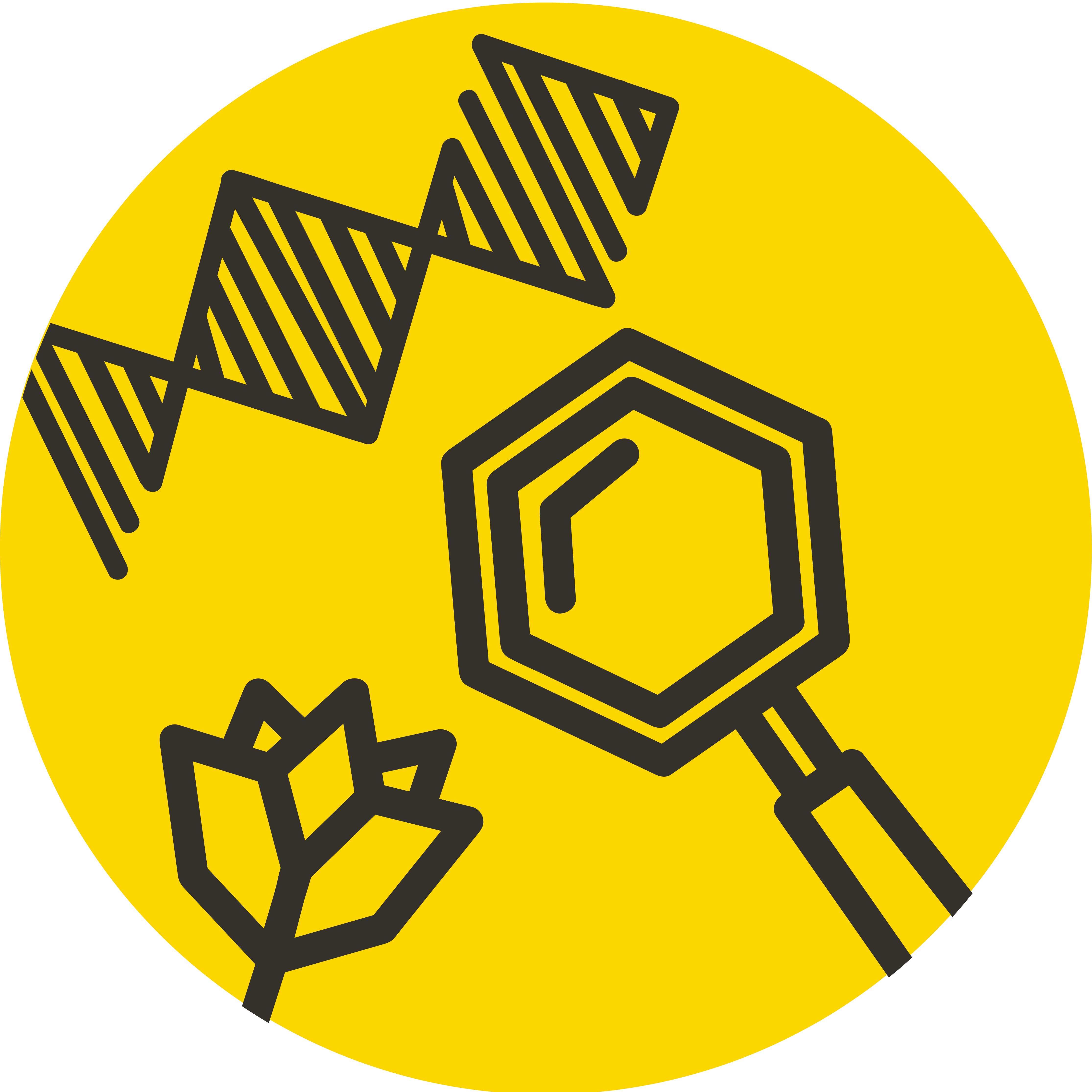 LEGO Education Science