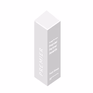 Google - Growing Business Online Google Premier Partner EMEA Awards