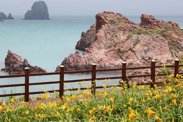 Rocky coastal cliffs, offshore islands and yellow flowers beside a walking path in Shinan.