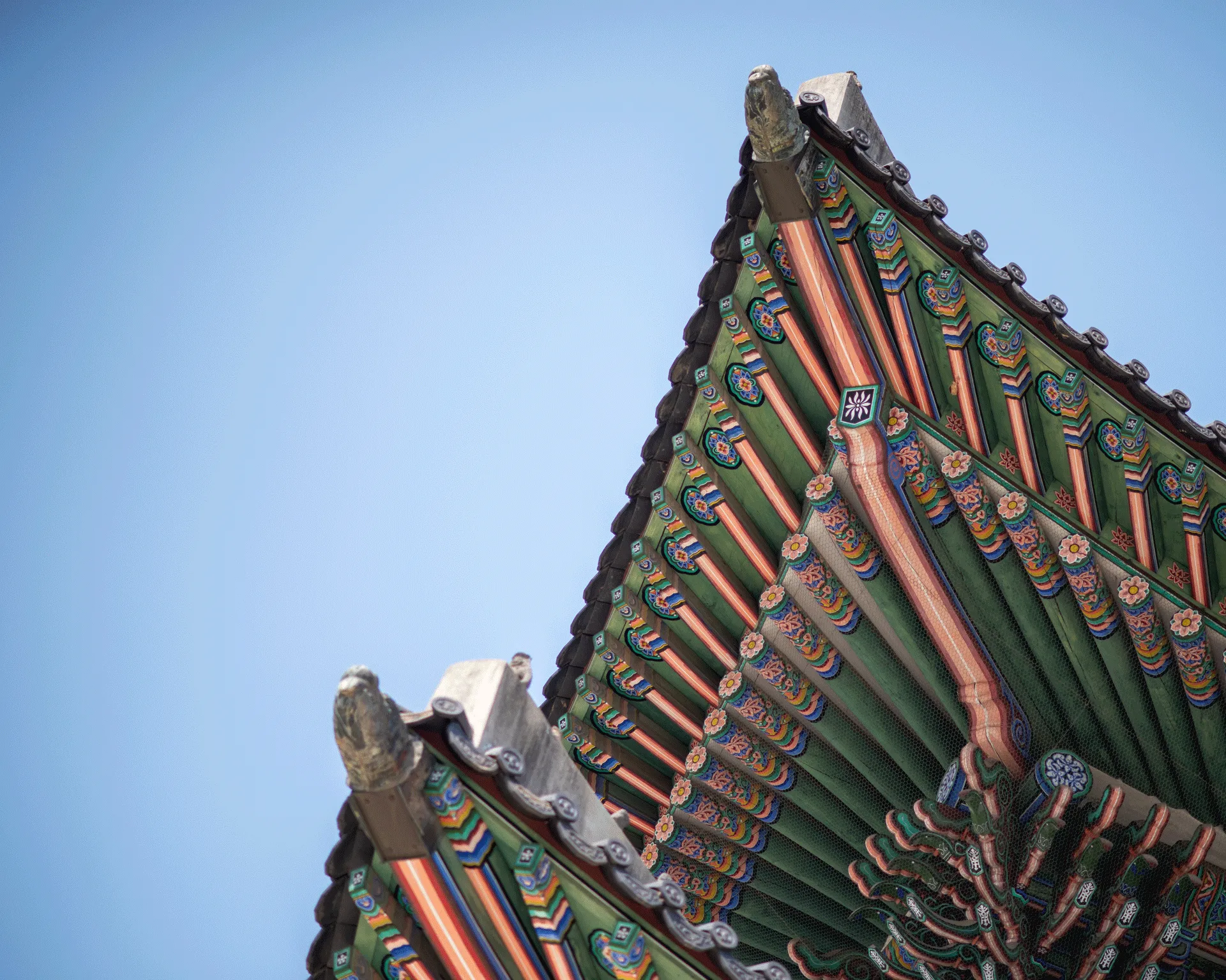 A traditional Korean palace roof.