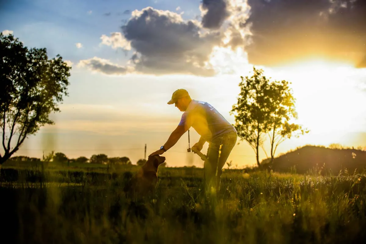 trainer and labrador retriever in field