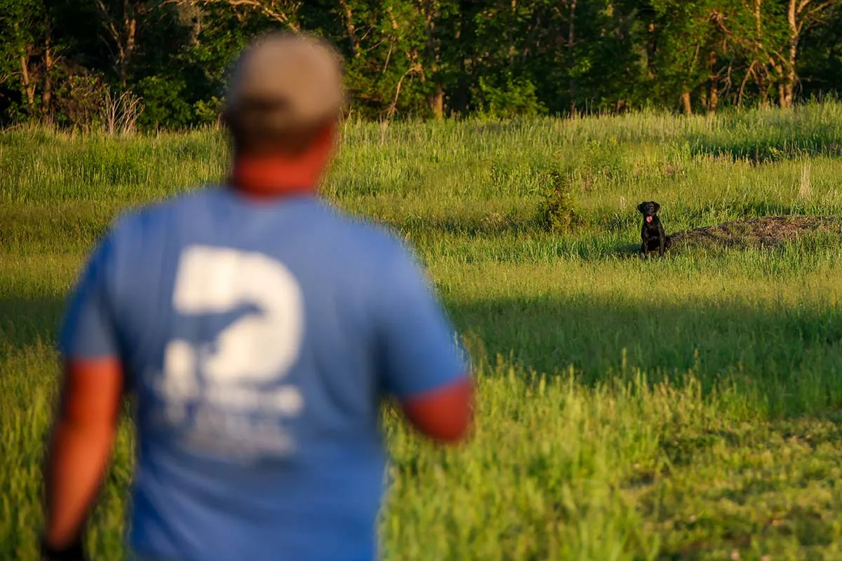 raisin sitting in field