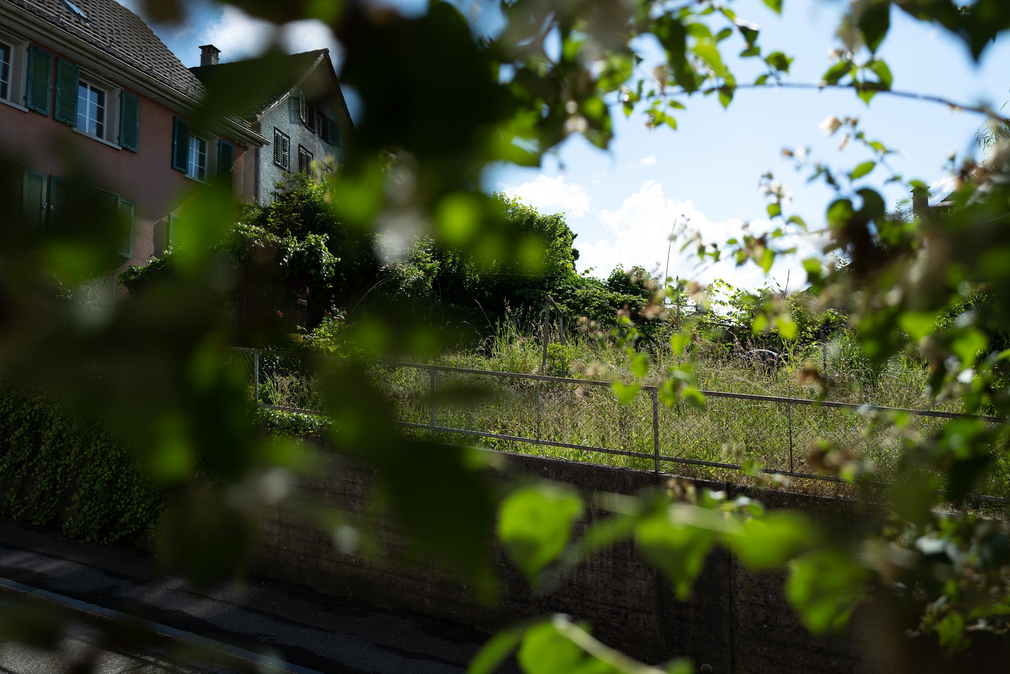 View through green leaves of a fenced grassy area on a slope with houses in the background under a blue sky with clouds.