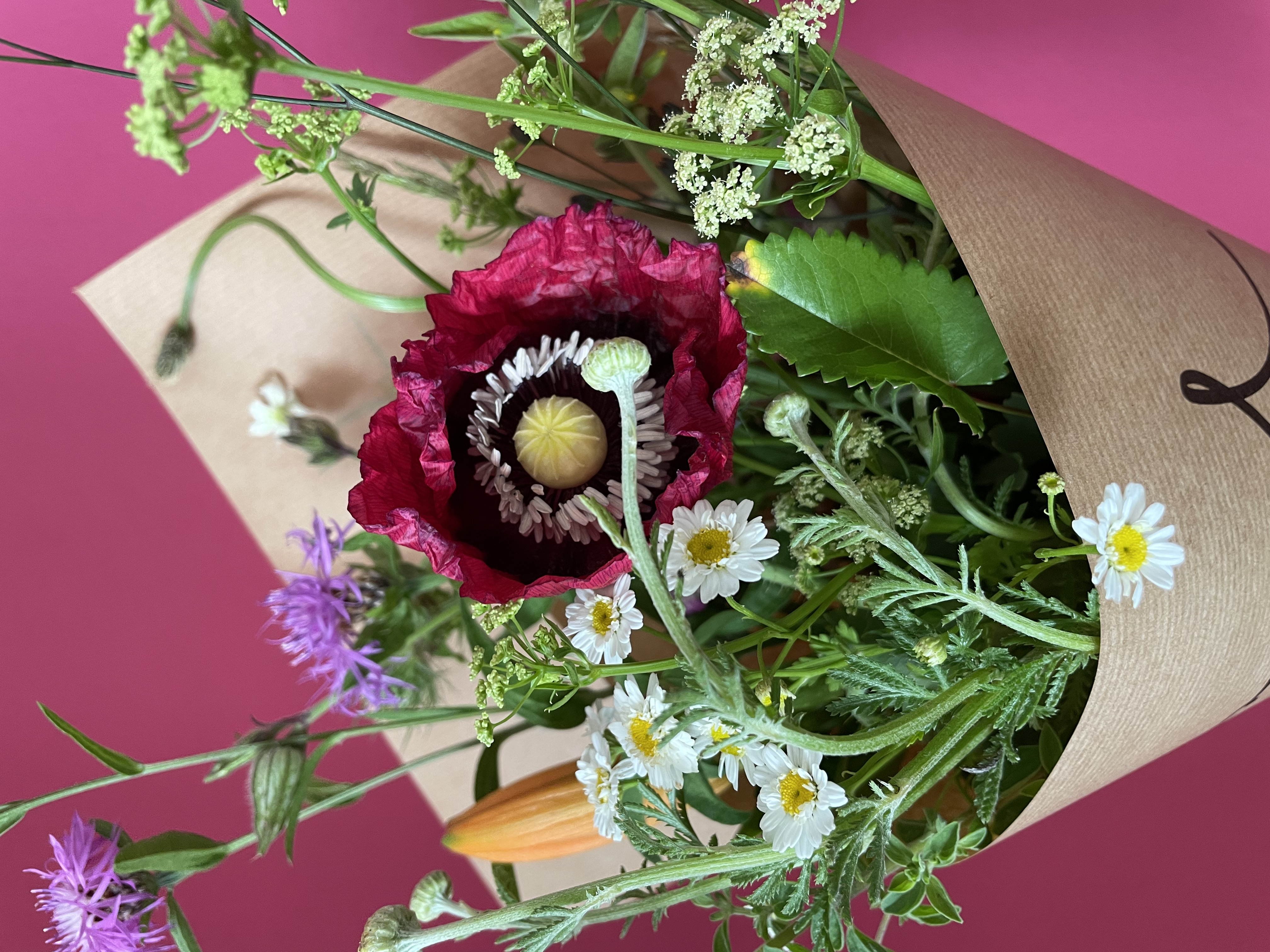 Blumenstrauss Jahreszeitenabo