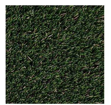 Summer Gold turf swatch