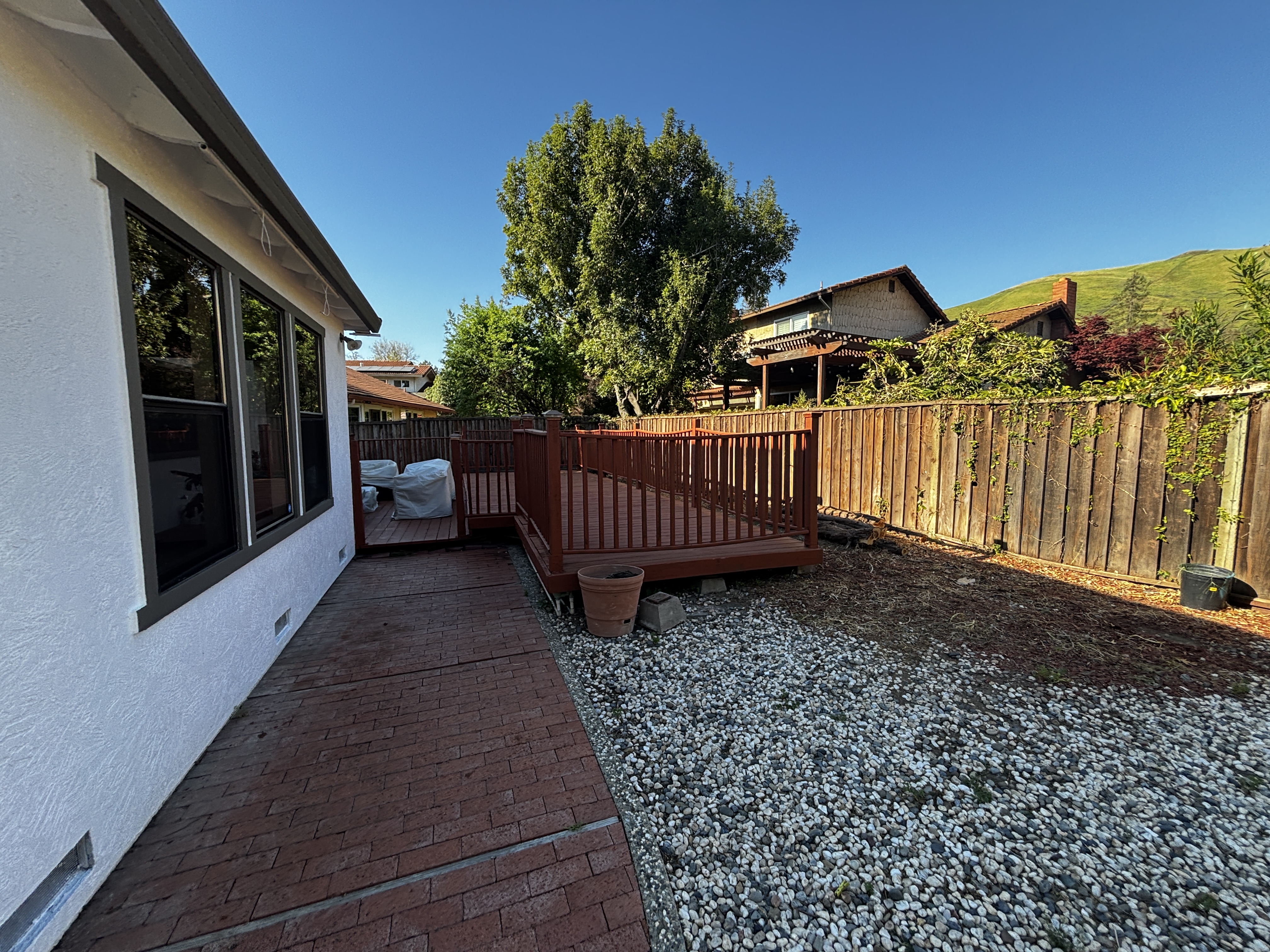 Current — Front yard fern tree and walkway area
