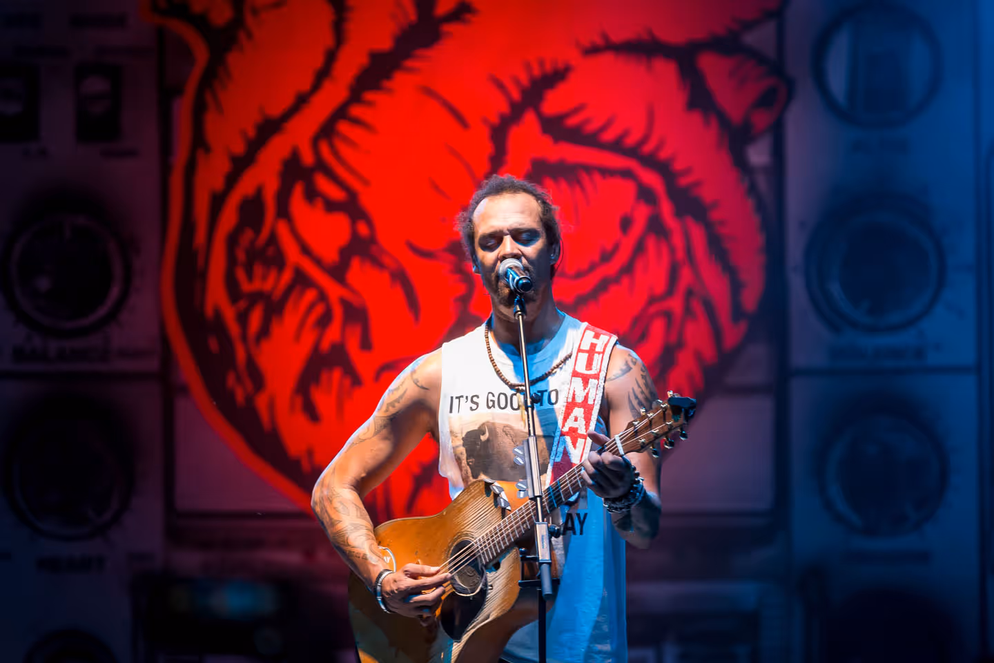 Michael Franti 2016