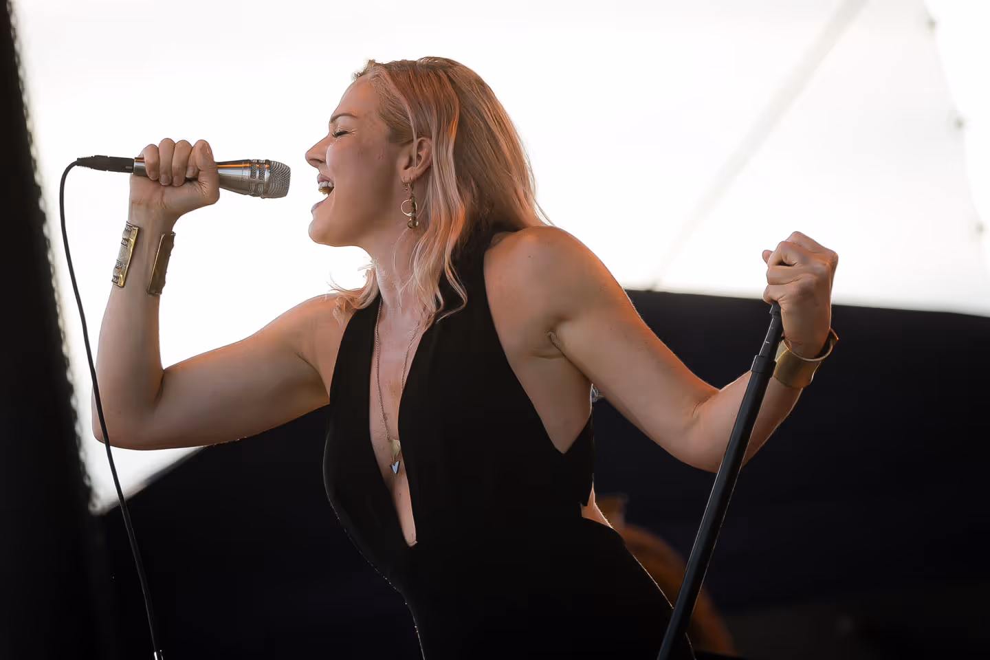 Pink Martini 2017