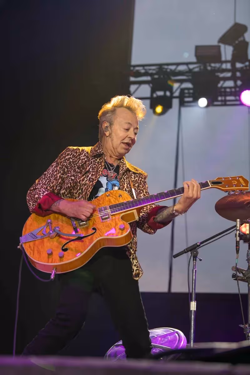 Stray Cats