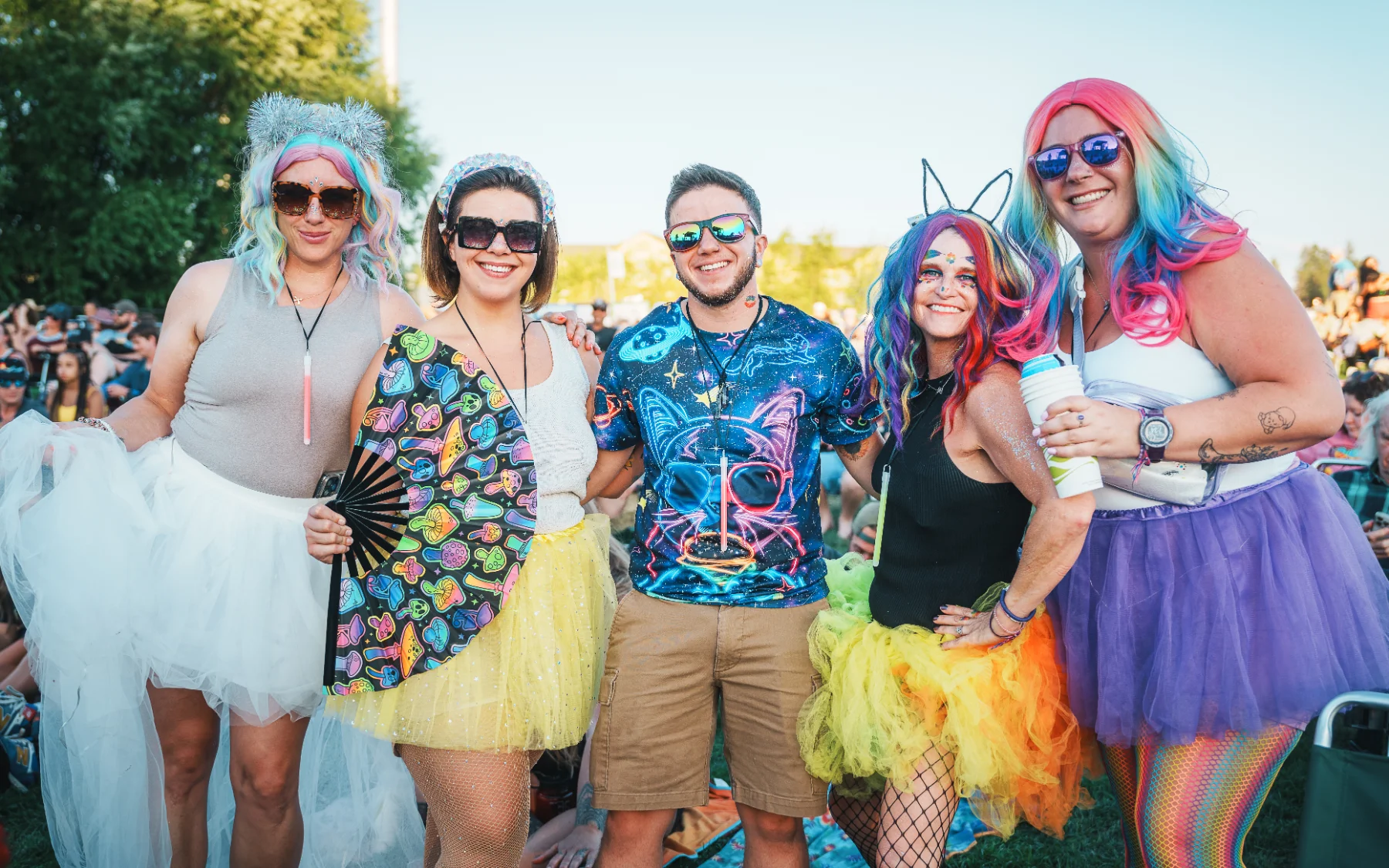 Rainbow Kitten Surprise