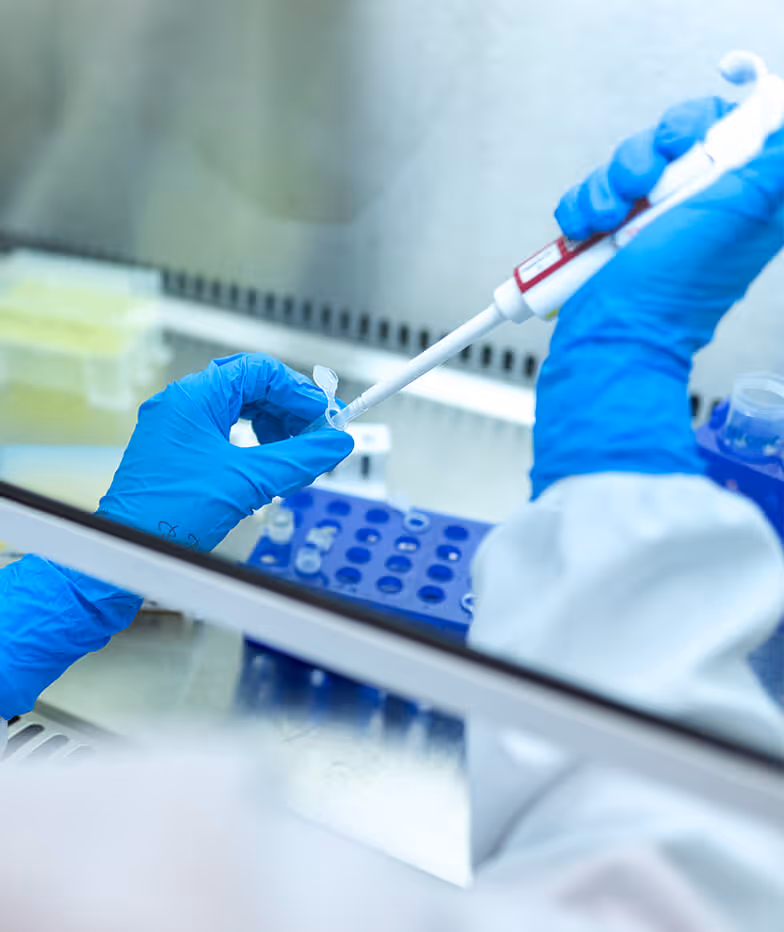 Hands in blue gloves using a pipette in a lab setting.