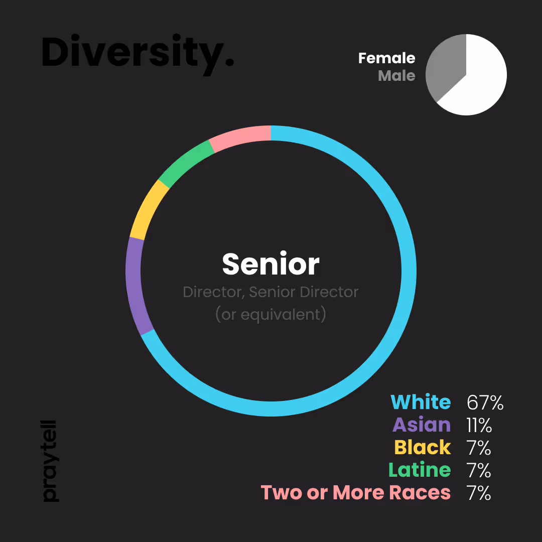 Diversity Across Career Level - Senior