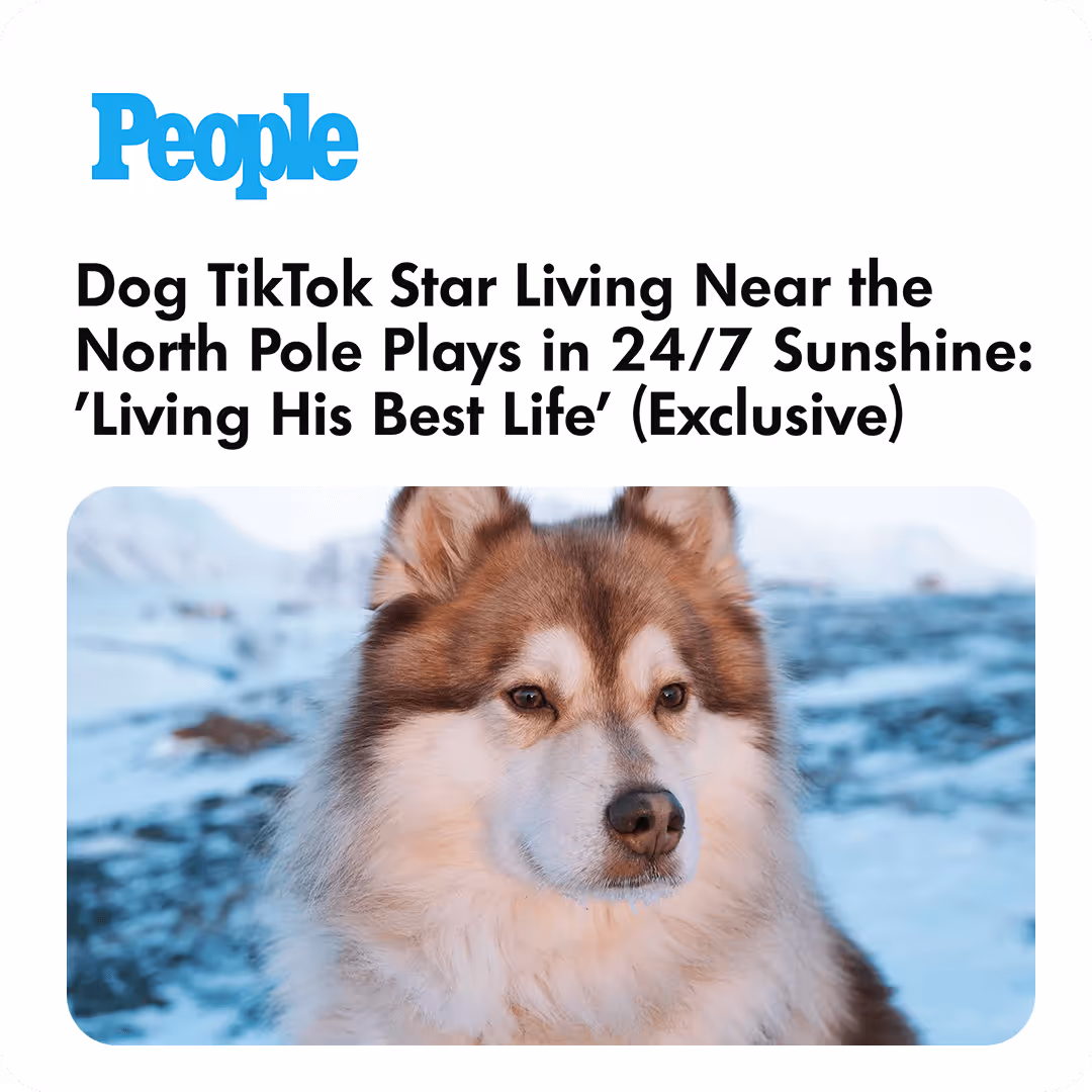 TikTok Star Dog  Grim News Article on People