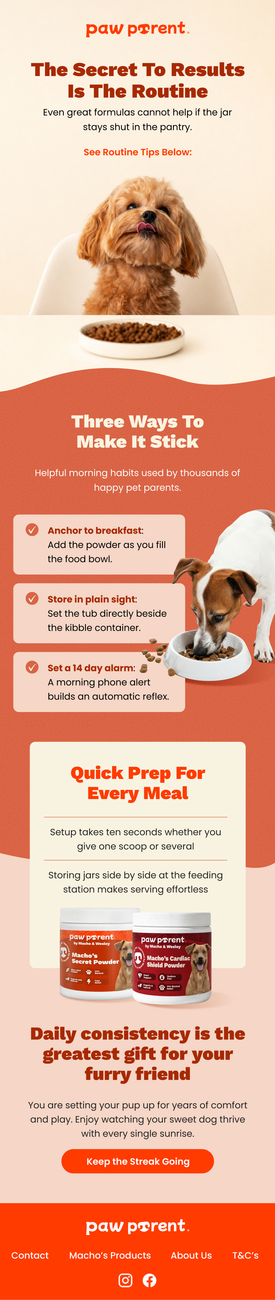 Habit and consistency email