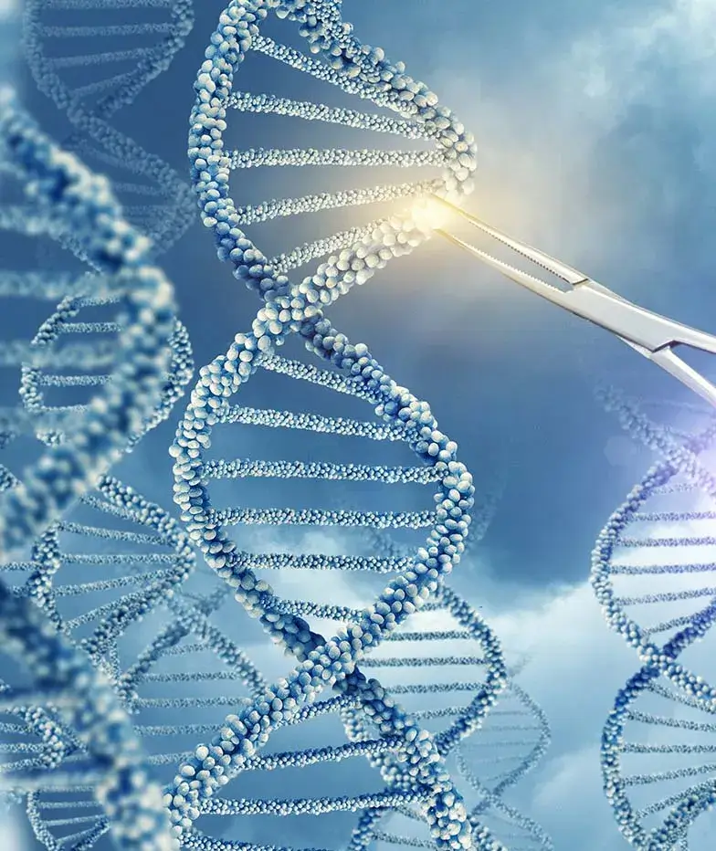 DNA strand