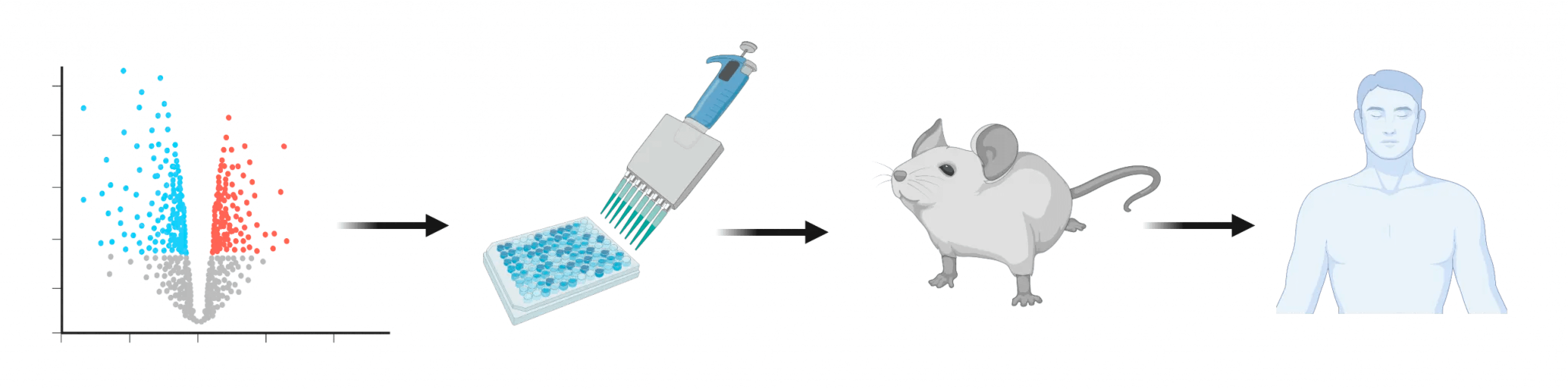 Image displaying the pipeline from a graph, to a sample, to a rat, to a person