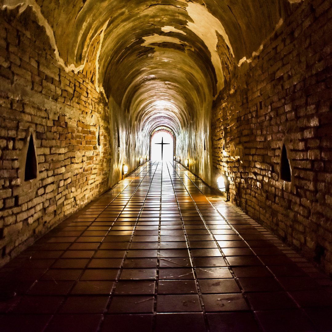 [headshot] image of customer (for a dental office)