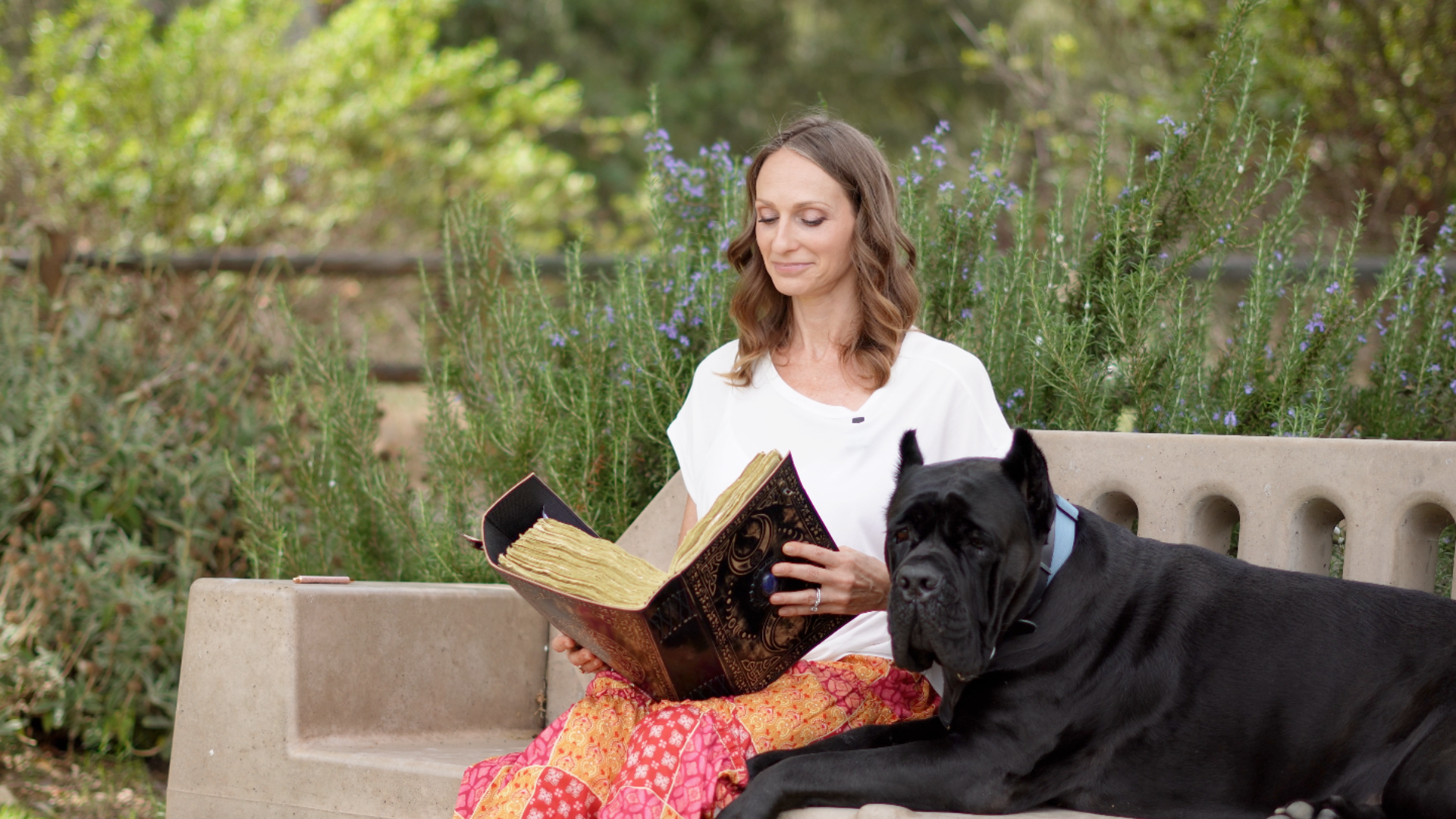 Rachel Fiori reading with her Cane Corso, Benson