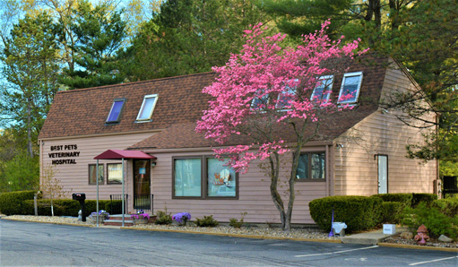 Exterior of Best Pets clinic building