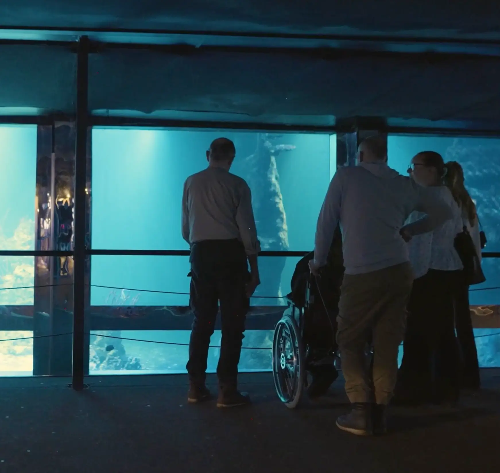 Vera besöker Fjärilshuset tillsammans med Min Stora Dag. Följ med bakom kulisserna och upplev en minnesvärd dag med djur och möten. Se filmen här.