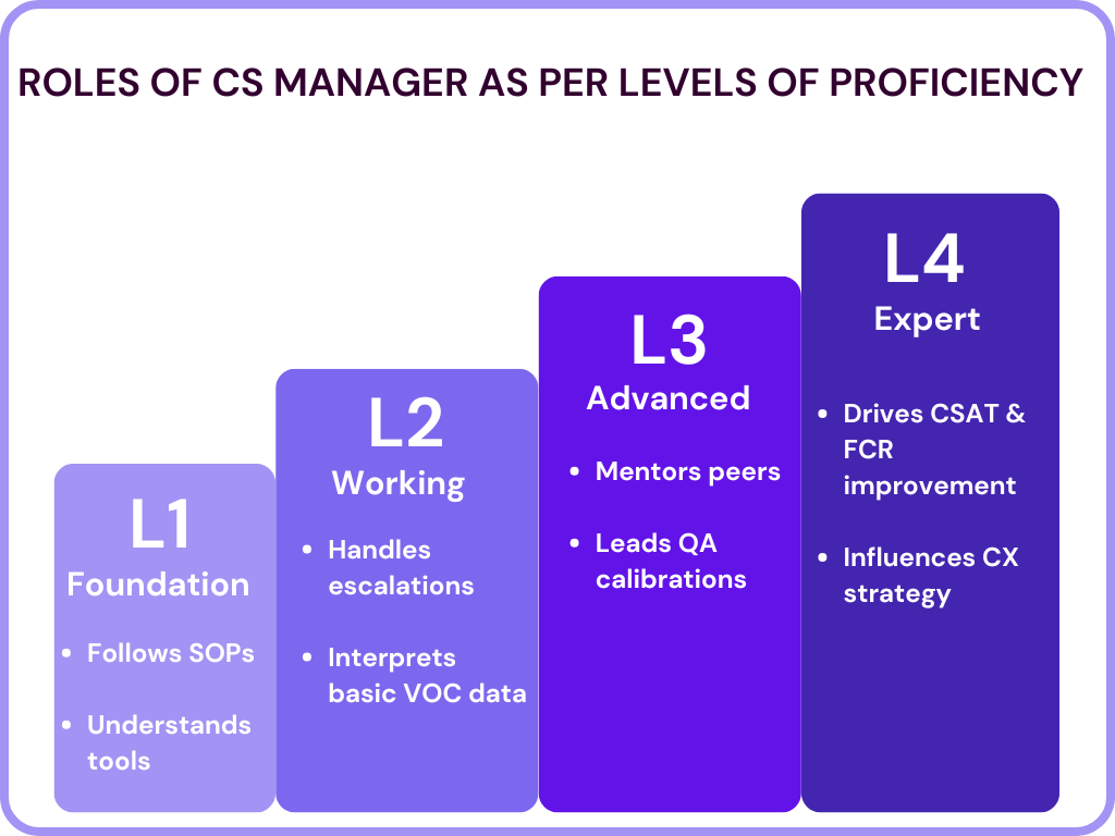 Roles of CS Manager as per Levels of Proficiency