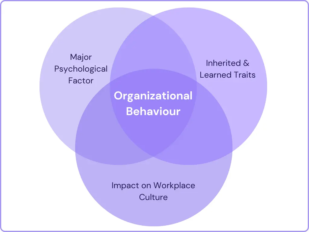 Personality in organizational behaviour