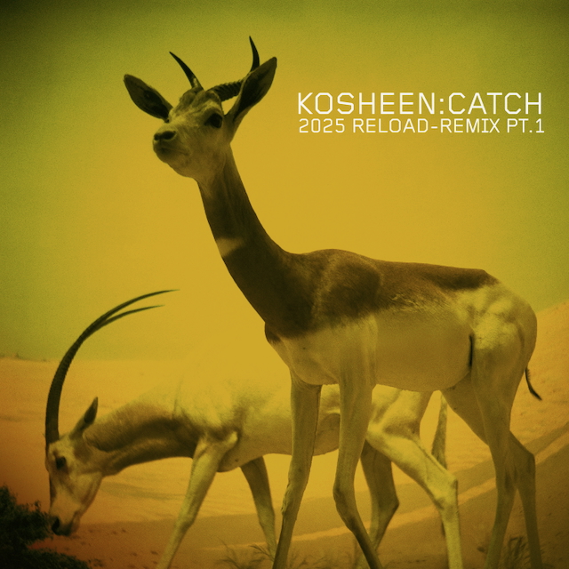 Kosheen, Catch Remix Pt.1, cover art