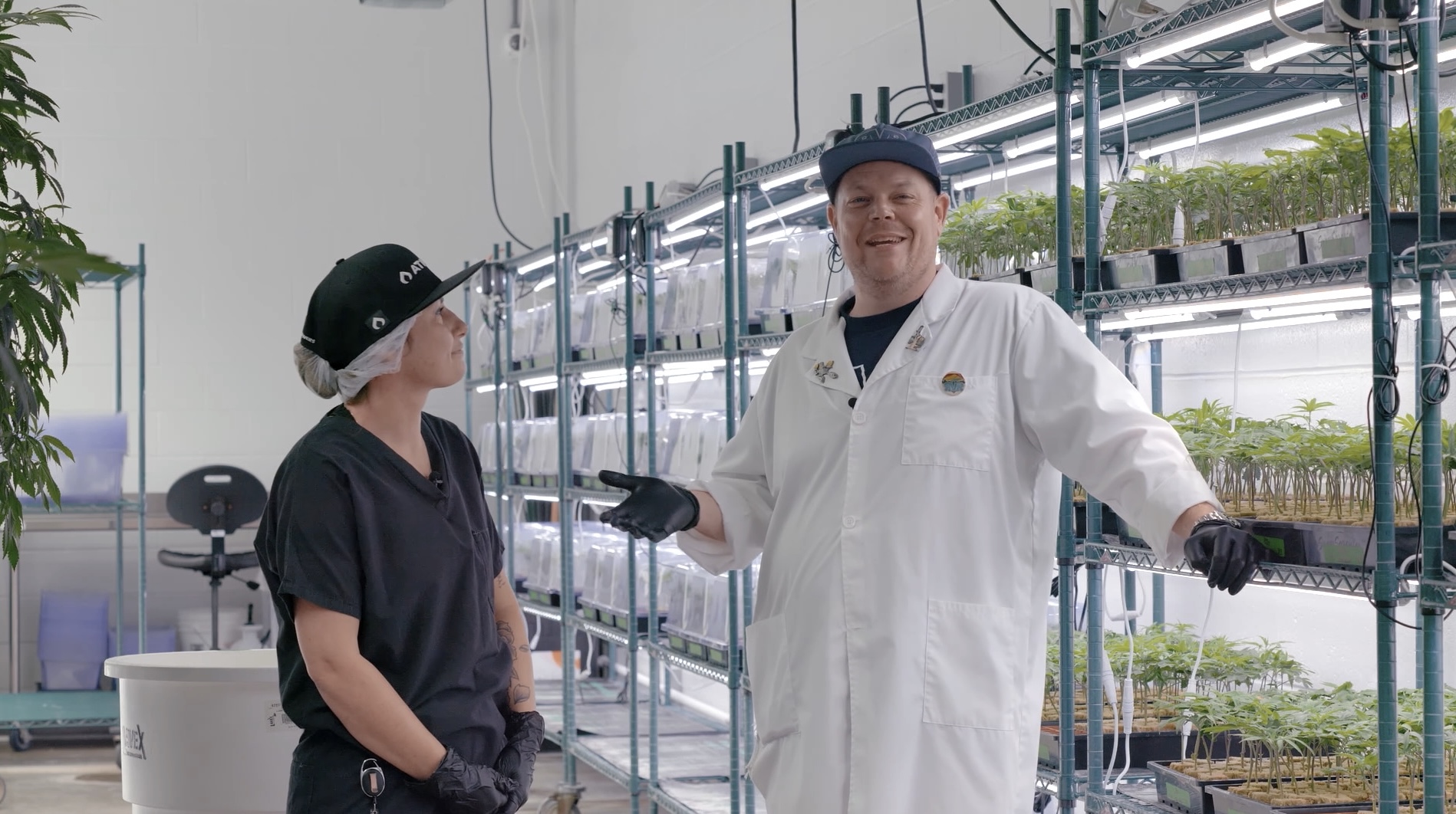Woman with black hat and black scrubs talks to man in white lab coat in a room full of baby cannabis plants and bright lights