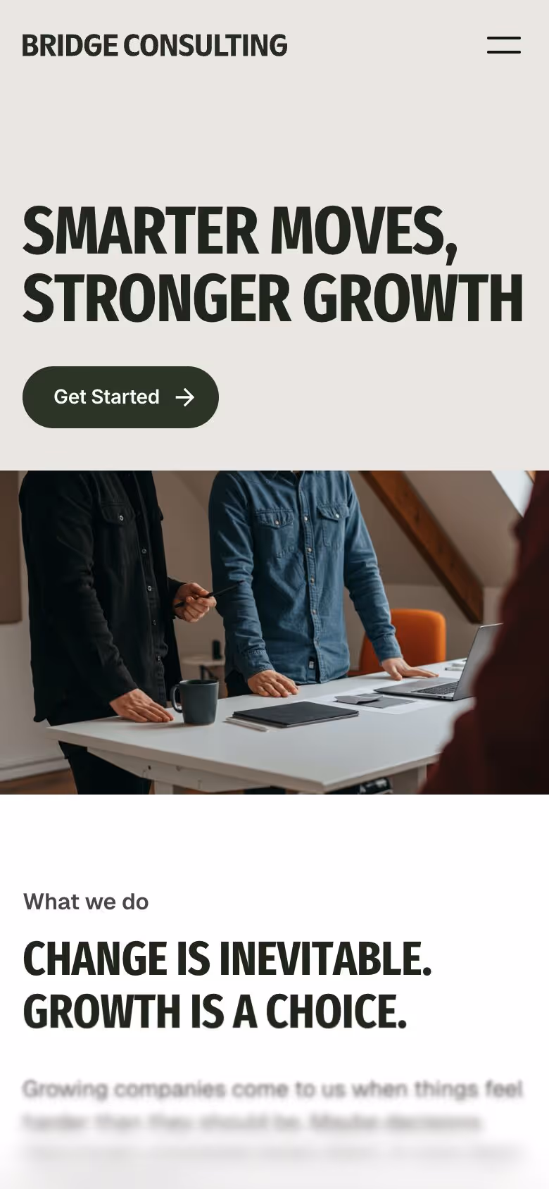 Bridge Consulting