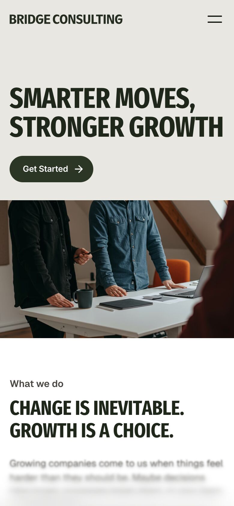 Bridge Consulting