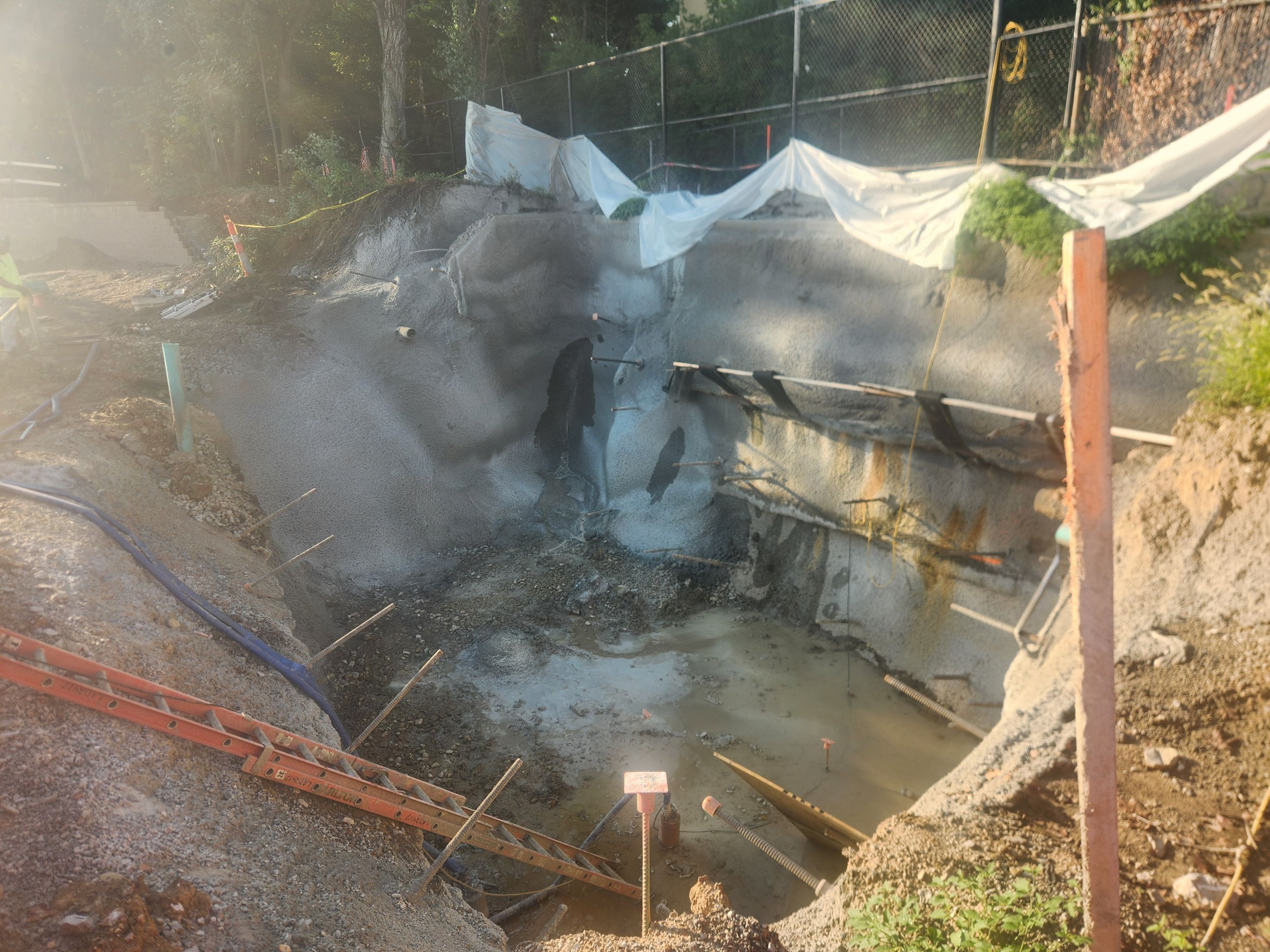 Saint Louis Zoo Shotcrete Wall - Saint Louis, MO