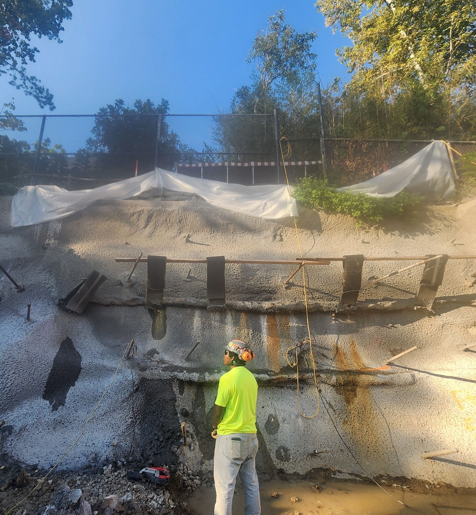 Saint Louis Zoo Shotcrete Wall - Saint Louis, MO