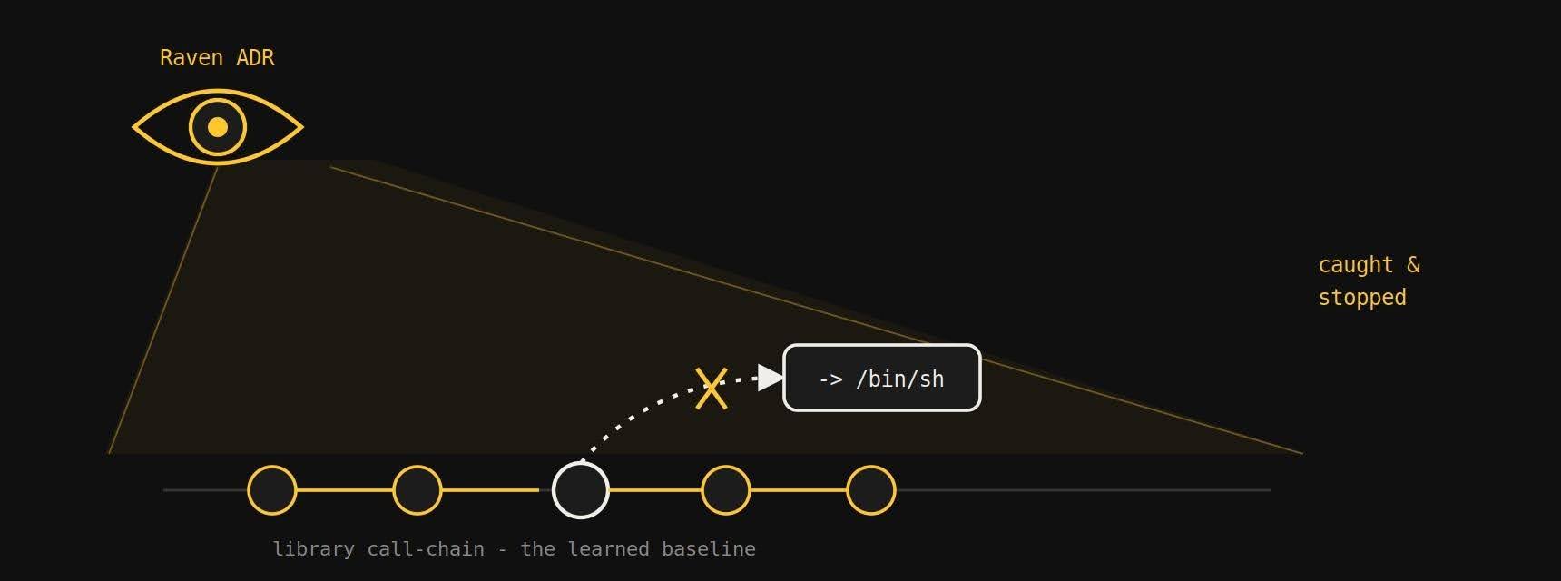 Camera on the library. Raven learns each library’s legitimate call-chain. The instant one deviates — an SDK reaching for a shell — the anomaly lights up and gets cut, no signature or CVE required.