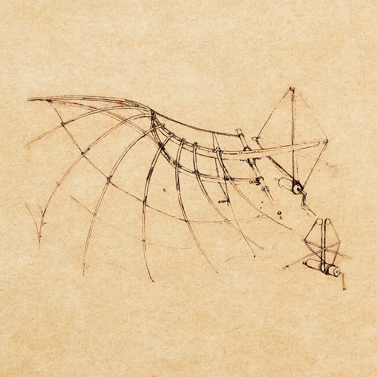 Detailed sepia-toned sketch of a mechanical wing design with curved ribs and tension cables on aged paper.