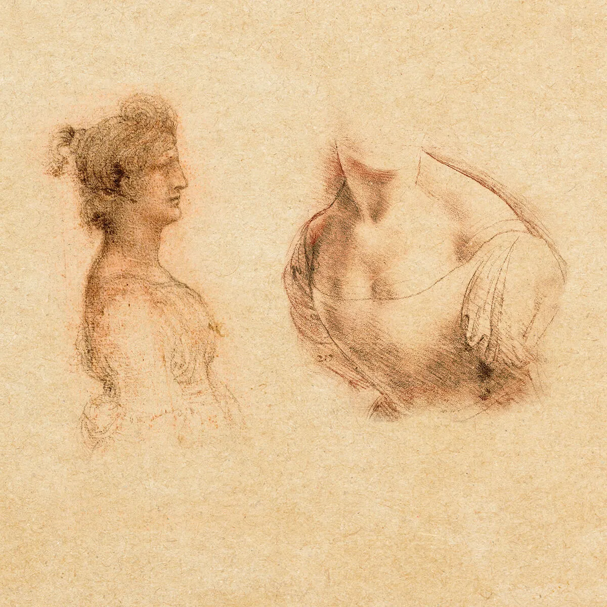 Sketch of two classical female figures, one showing a side profile with hair in a bun, the other a torso without a head, both drawn with soft shading on parchment.