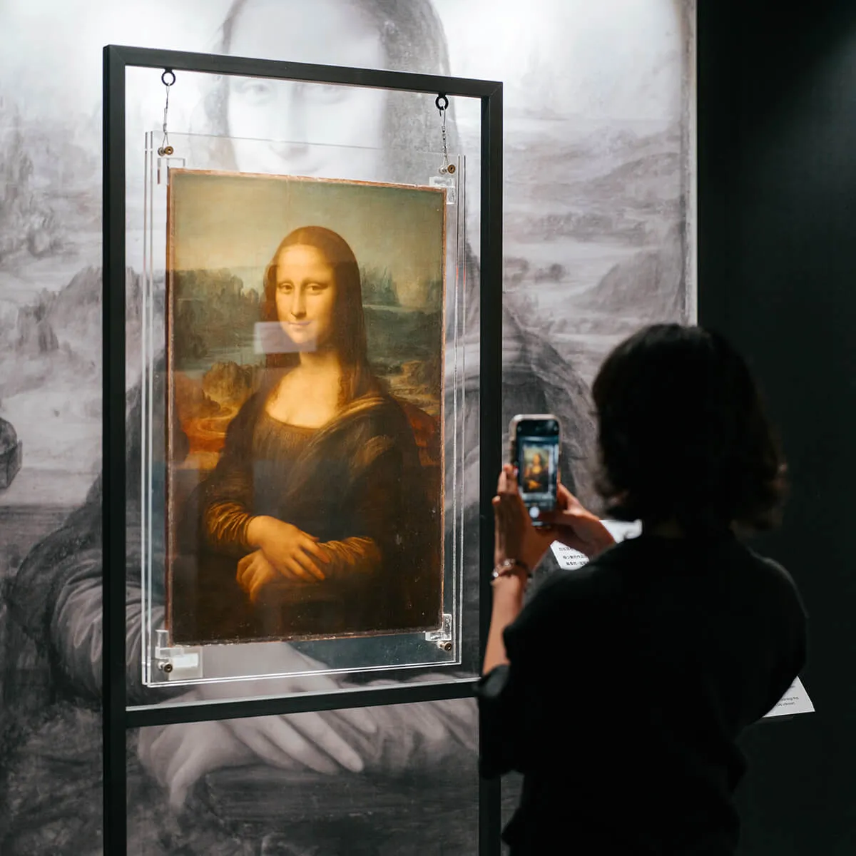 Person taking a photo of the Mona Lisa painting displayed in a museum with a large black-and-white Mona Lisa image in the background.